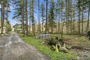 34315 Tanwax Dr E, Eatonville, WA 98328 - Photo 14