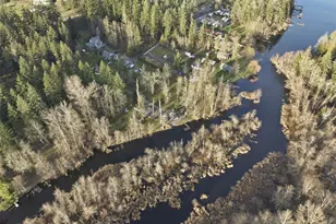 34315 Tanwax Dr E, Eatonville, WA 98328 - Photo 4