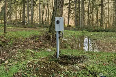 34315 Tanwax Drive E, Eatonville, WA 98328 - Photo 18