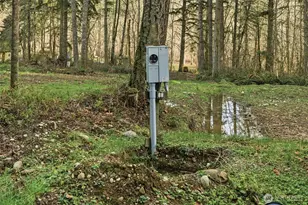 34315 Tanwax Dr E, Eatonville, WA 98328 - Photo 18