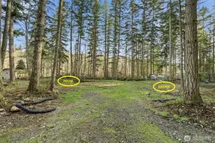 34315 Tanwax Dr E, Eatonville, WA 98328 - Photo 16