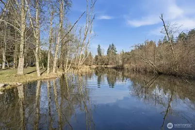 34315 Tanwax Drive E, Eatonville, WA 98328 - Photo 22