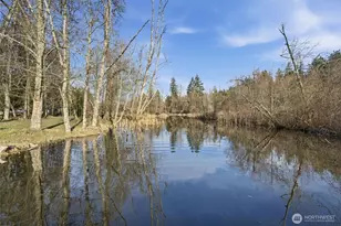 34315 Tanwax Dr E, Eatonville, WA 98328 - Photo 22