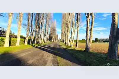 804 Cameron Road, Sequim, WA 98382 - Photo 24