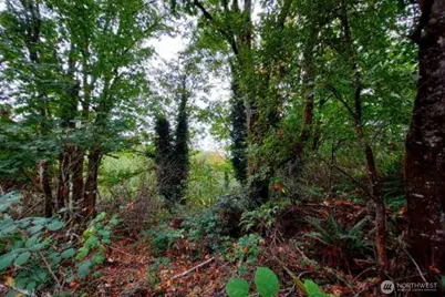 0 Lot C Melcher St, Port Orchard, WA 98366 - Photo 4