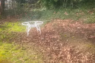 4557 33rd Ave S, Seattle, WA 98118 - Photo 2