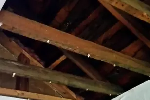 4557 33rd Ave S, Seattle, WA 98118 - Photo 10