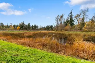 4235 Ambrosia Ln, Bellingham, WA 98226 - Photo 30