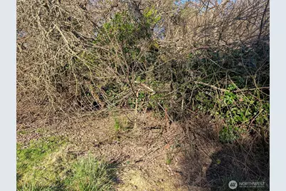 120 Aquila Court SW, Ocean Shores, WA 98569 - Photo 4