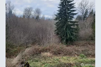 216 205th Avenue E, Lake Tapps, WA 98391 - Photo 36