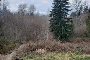 216 205th Ave E, Lake Tapps, WA 98391 - Photo 36