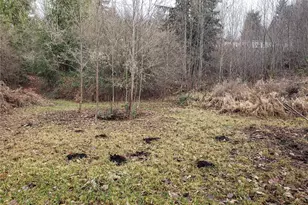 216 205th Ave E, Lake Tapps, WA 98391 - Photo 32