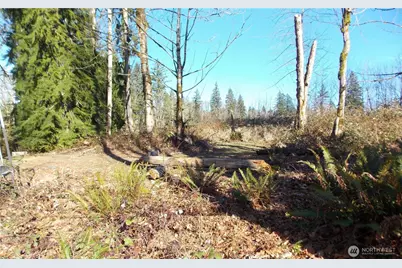 421 Young Road, Mossyrock, WA 98564 - Photo 10