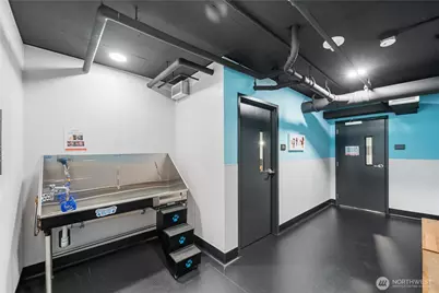 450 S Main Street #1109, Seattle, WA 98104 - Photo 18