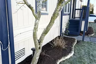 525 Grand Fir Dr, Enumclaw, WA 98022 - Photo 4