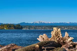 11022 Palisades Ave SW, Vashon, WA 98070 - Photo 32