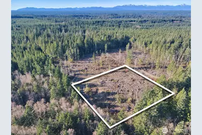 250 E Solbakkvein Road, Shelton, WA 98584 - Photo 22