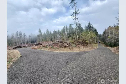 250 E Solbakkvein Road, Shelton, WA 98584 - Photo 30