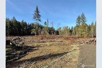 250 E Solbakkvein Road, Shelton, WA 98584 - Photo 18