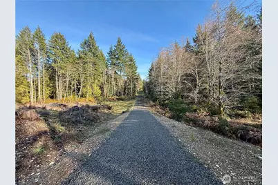 250 E Solbakkvein Road, Shelton, WA 98584 - Photo 2