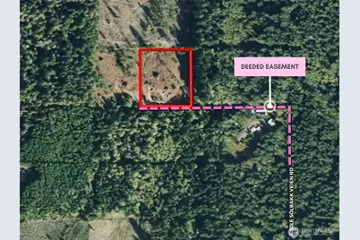 250 E Solbakkvein Road, Shelton, WA 98584 - Photo 38
