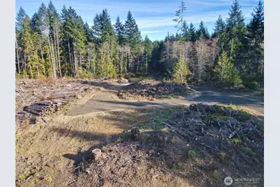 250 E Solbakkvein Road, Shelton, WA 98584 - Photo 10