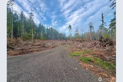 260 E Solbakk Veien Road, Shelton, WA 98584 - Photo 26