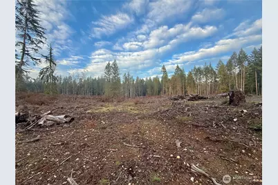 260 E Solbakk Veien Road, Shelton, WA 98584 - Photo 28