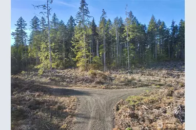 260 E Solbakk Veien Road, Shelton, WA 98584 - Photo 10