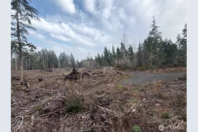 260 E Solbakk Veien Road, Shelton, WA 98584 - Photo 30