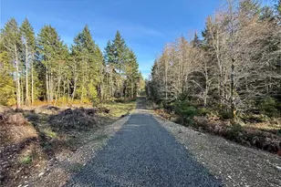 260 E Solbakk Veien Rd, Shelton, WA 98584 - Photo 1