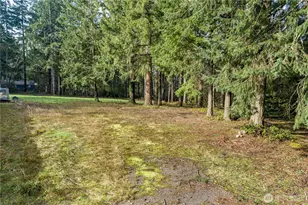 0 Satsop Ave, Shelton, WA 98584 - Photo 1
