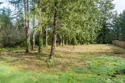 0 Satsop Avenue, Shelton, WA 98584 - Photo 2