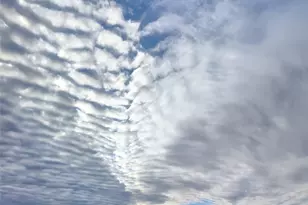 2991 Kindred Ave, Tokeland, WA 98590 - Photo 30