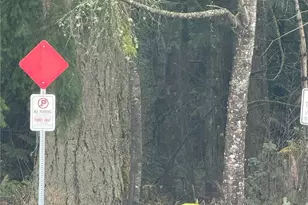 12430 Champion Dr SW, Olympia, WA 98512 - Photo 40