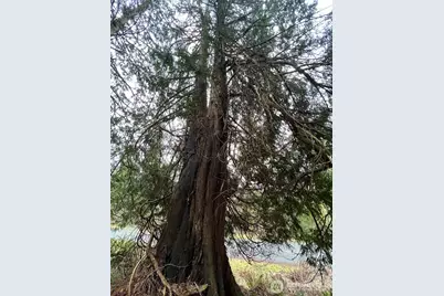 25 Roosevelt Road, Point Roberts, WA 98281 - Photo 6
