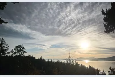 417 Arbutus Place, Bellingham, WA 98225 - Photo 6