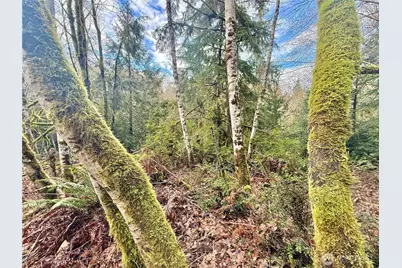 705 E Colonel Wright Road, Shelton, WA 98584 - Photo 34