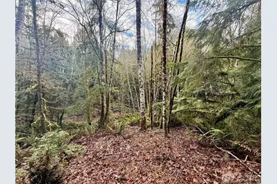 705 E Colonel Wright Road, Shelton, WA 98584 - Photo 28