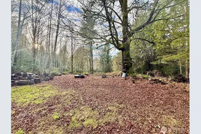 705 E Colonel Wright Road, Shelton, WA 98584 - Photo 2