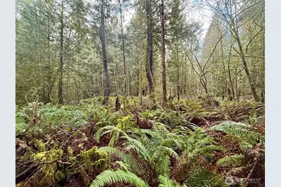 705 E Colonel Wright Road, Shelton, WA 98584 - Photo 22