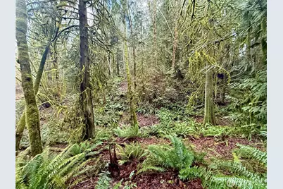 705 E Colonel Wright Road, Shelton, WA 98584 - Photo 38