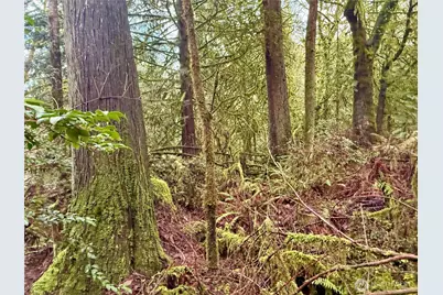 705 E Colonel Wright Road, Shelton, WA 98584 - Photo 20