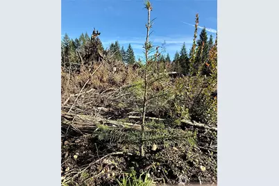 255 E Solbakk Veien Road, Shelton, WA 98584 - Photo 14