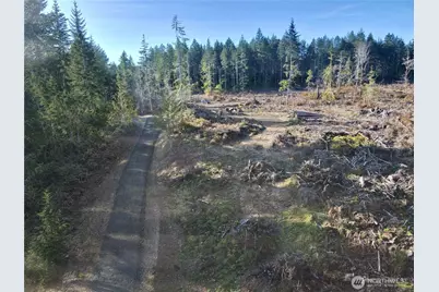 255 E Solbakk Veien Road, Shelton, WA 98584 - Photo 18