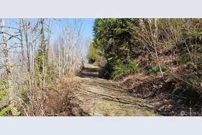 0 Concrete Sauk Valley Road, Concrete, WA 98237 - Photo 2