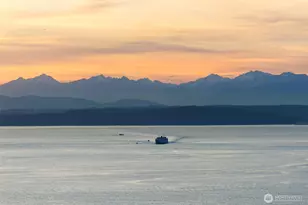 2201 3rd Ave, Seattle, WA 98121 - Photo 2