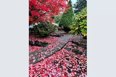 2606 N Baltimore Street, Tacoma, WA 98407 - Photo 38