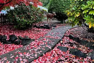 2606 N Baltimore St, Tacoma, WA 98407 - Photo 38