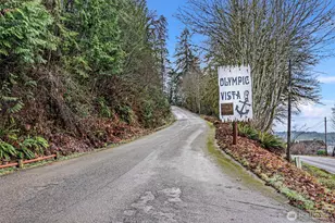 341 E Olympic Vista Dr, Union, WA 98592 - Photo 30